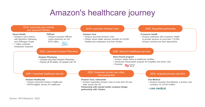 Amazon's One Medical acquisition will disrupt US primary care - HFS ...